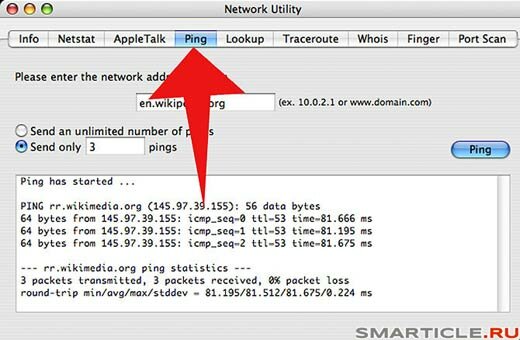 Команда ping в Network Utility