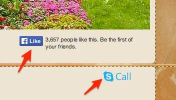 кнопки фейсбук и скайп на нашем готовом сайте