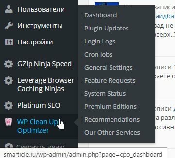 Заходим в плагин Wp Clean Up Optimizer