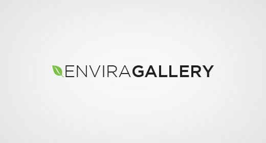 envira gallery - лучший плагин видео галерей и фото