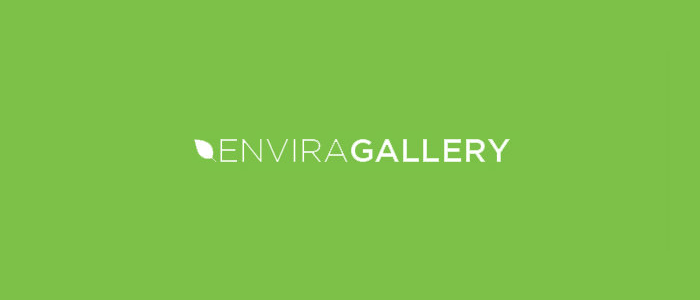 Создаем адаптивную галерею для сайта с помощью Envira Gallery