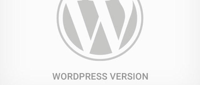 Как узнать какая версия используется на сайте Wordpress