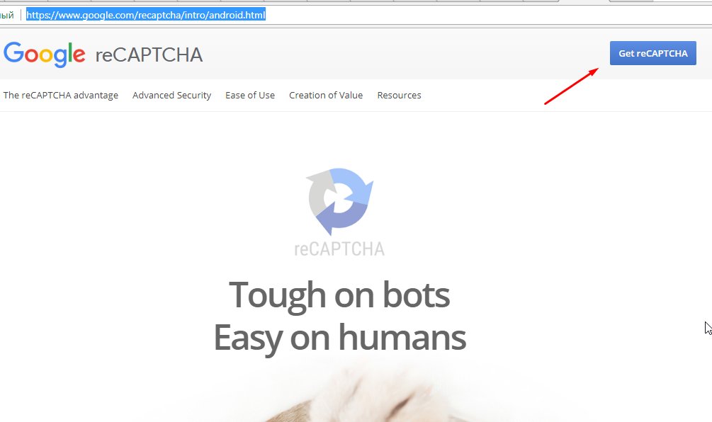 Получение ключа по API с помощью сервиса Google reCaptcha